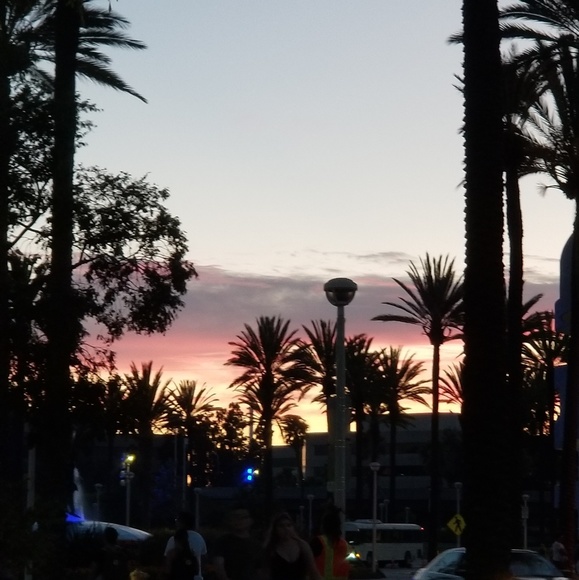 Meet your Posher, Cherie - Picture 4 of 5